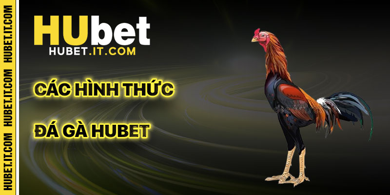 Các Hình Thức Đá Gà Hubet Nổi Bật