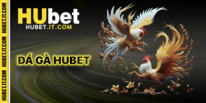 Đá Gà Hubet