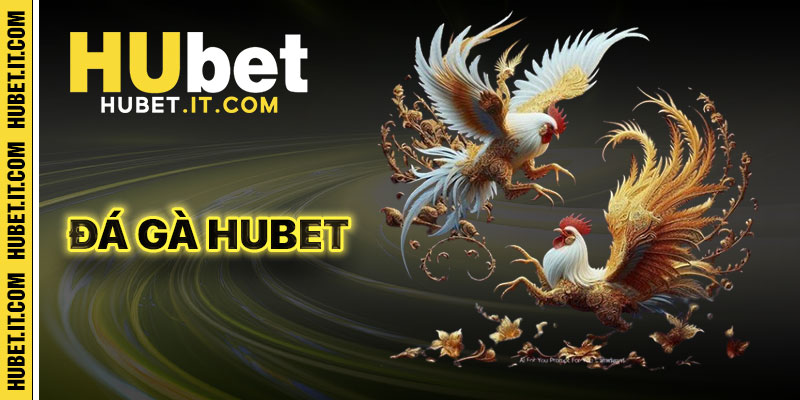 Đá Gà Hubet