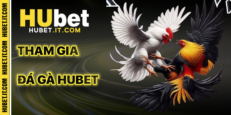 Tham Gia Đá Gà Hubet